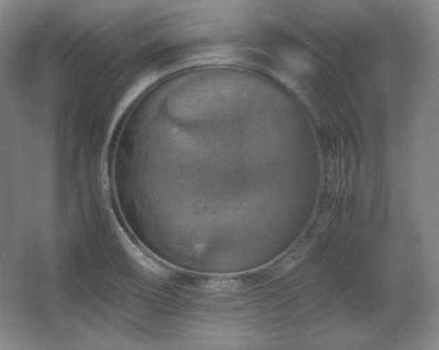 X0000067461466200604071115