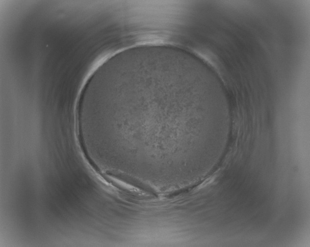 X0000067461467200604071115