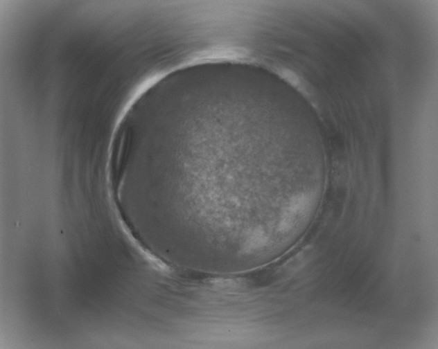 X0000067461469200604071115