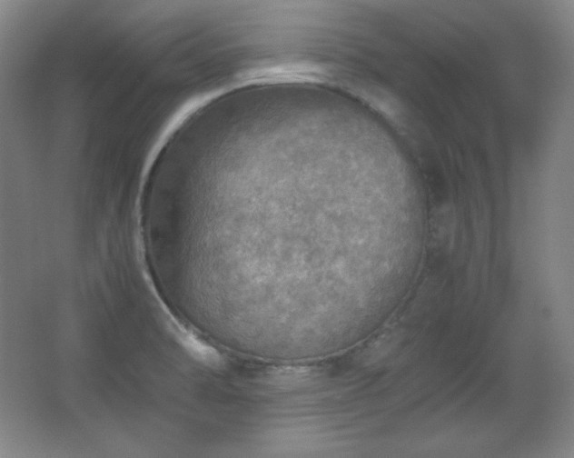 X0000067461470200604071115