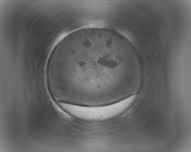 X0000067461471200604071115