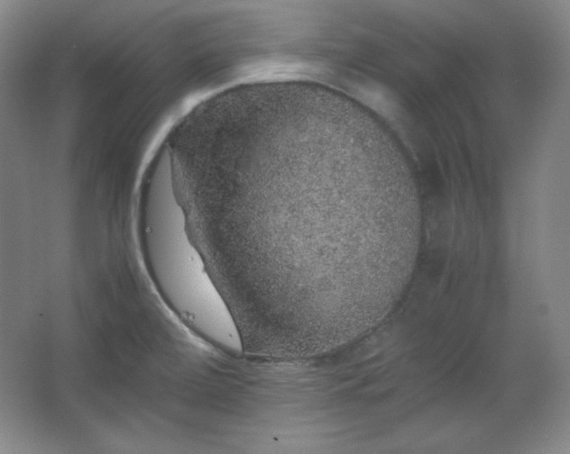 X0000067461472200604071115