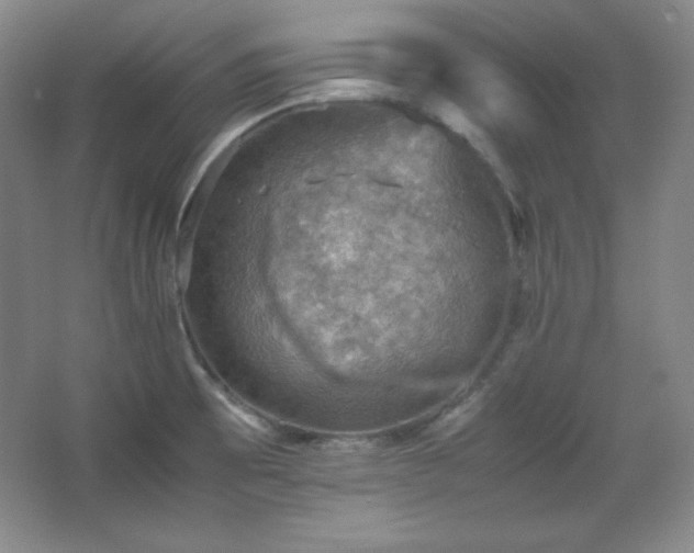 X0000067461473200604071115