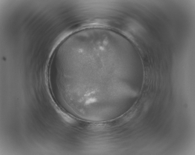 X0000067461474200604071115