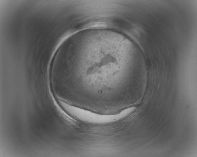 X0000067461475200604071115