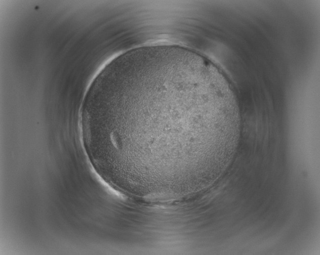 X0000067461476200604071115