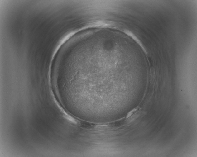 X0000067461477200604071115