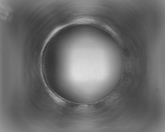 X0000067461478200604071115