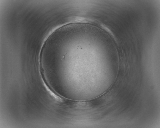 X0000067461479200604071115