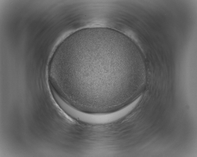 X0000067461480200604071115