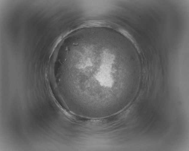 X0000067461481200604071115