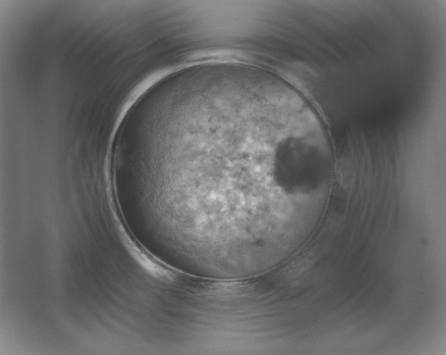 X0000067461482200604071115