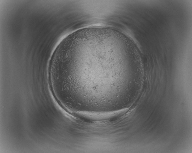 X0000067461483200604071115