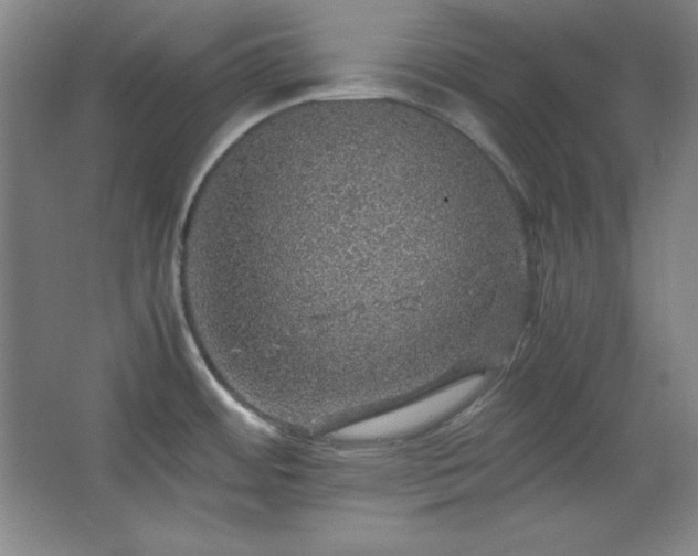 X0000067461484200604071115