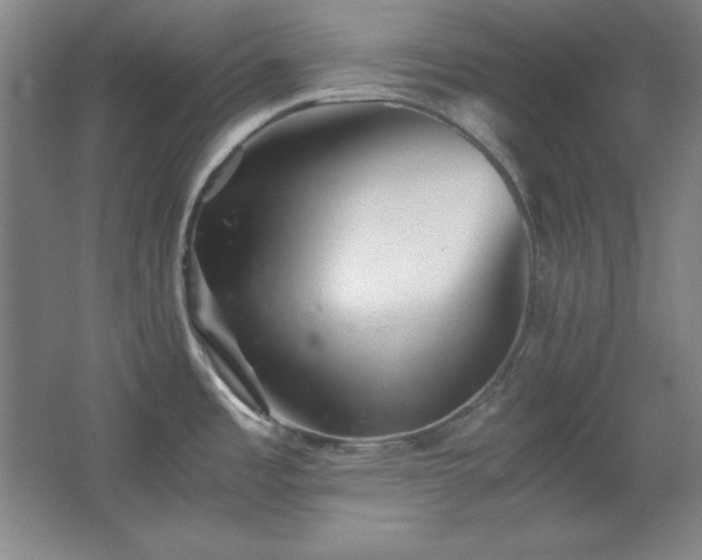 X0000067461485200604071115