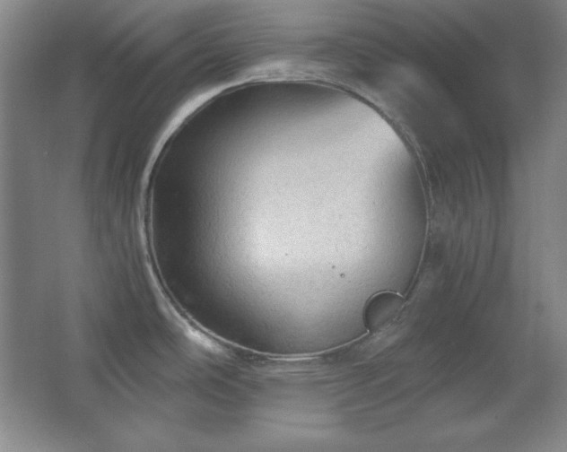 X0000067461486200604071115