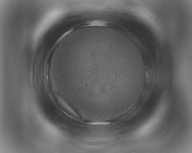 X0000067461487200604071115