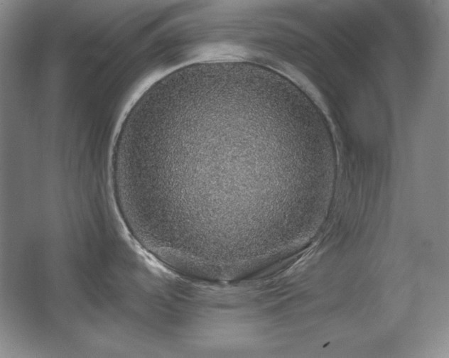 X0000067461488200604071115