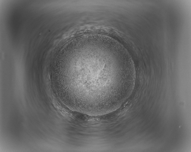 X0000067461489200604071114