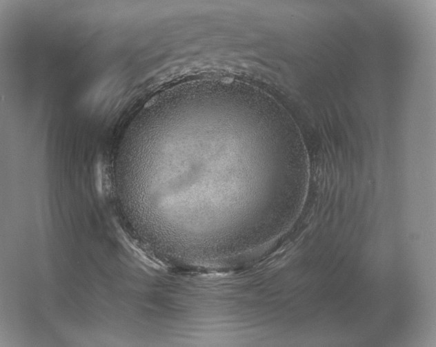 X0000067461490200604071114