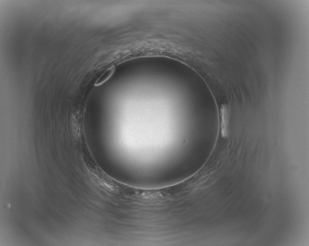 X0000067461491200604071114