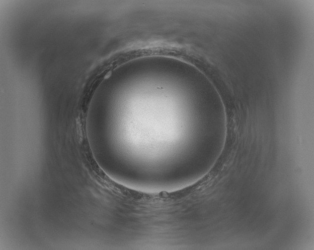 X0000067461493200604071114