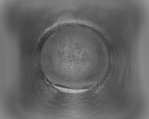 X0000067461494200604071114