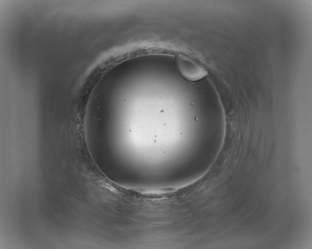 X0000067461495200604071114