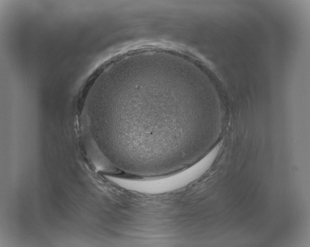 X0000067461496200604071114