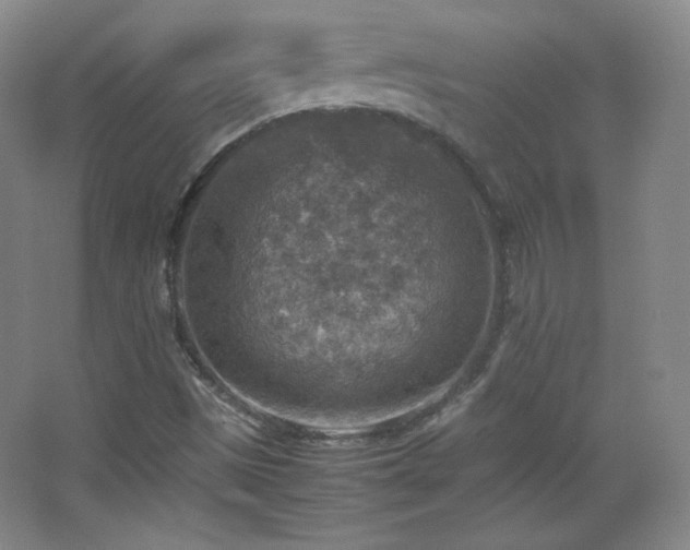 X0000067461497200604071114