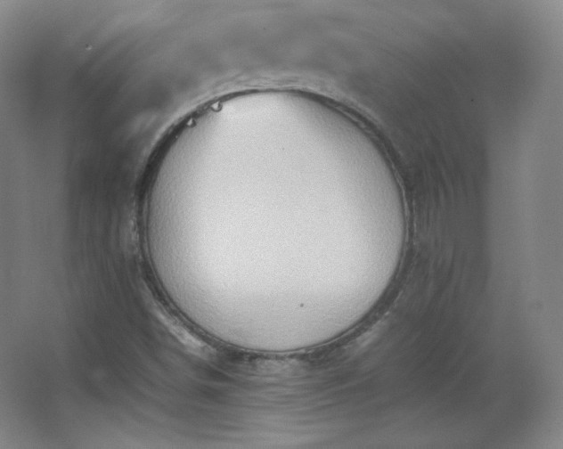 X0000067461498200604071114