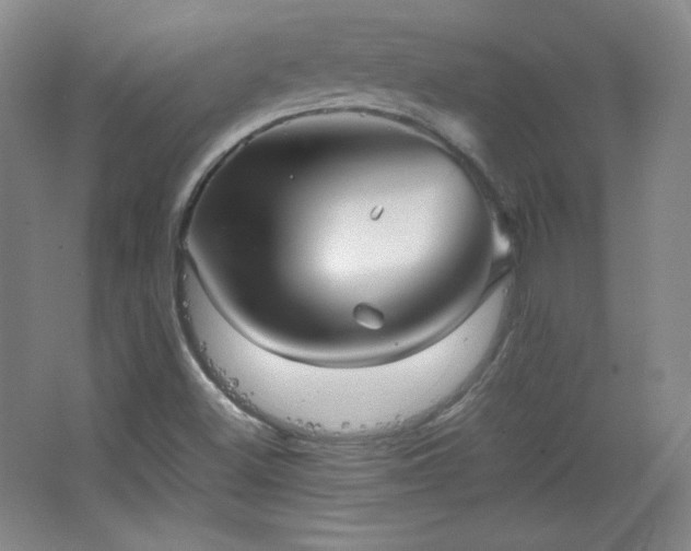 X0000067461500200604071114