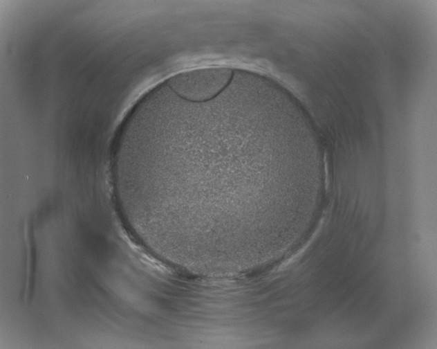 X0000067461501200604071114