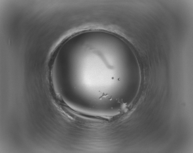 X0000067461502200604071114