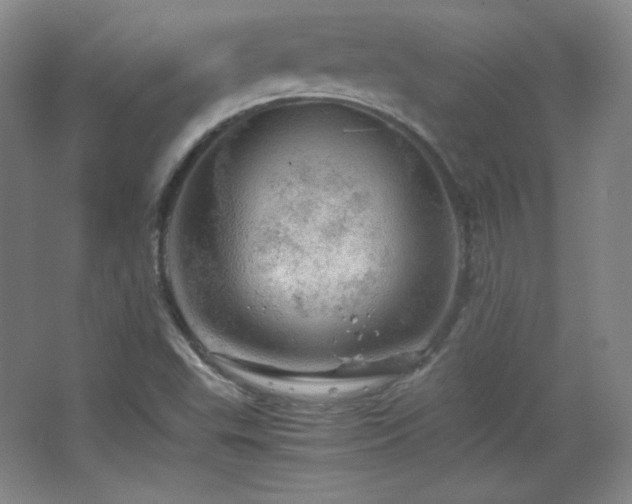 X0000067461503200604071114