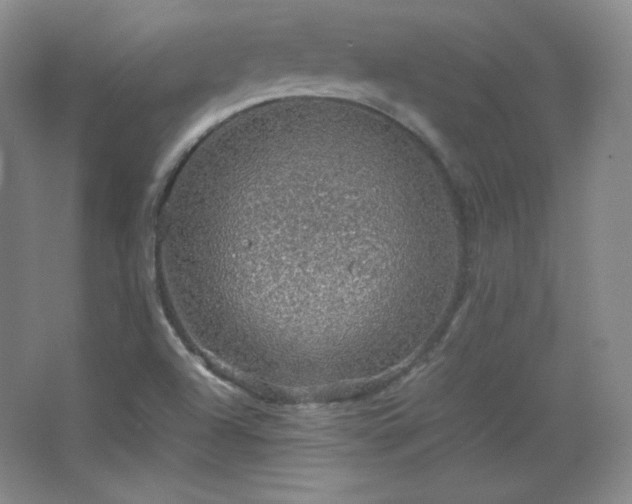 X0000067461504200604071114