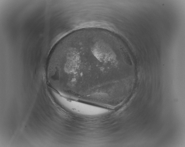 X0000067461505200604071114