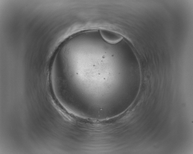 X0000067461507200604071114