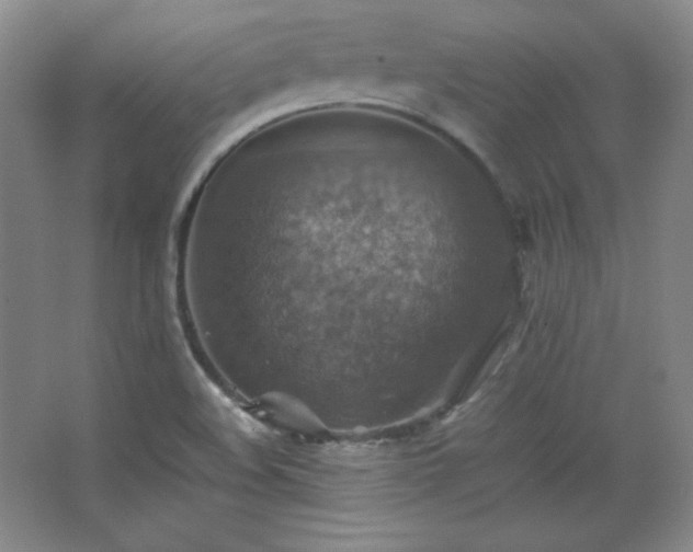 X0000067461508200604071115