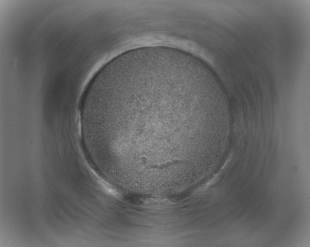 X0000067461509200604071115