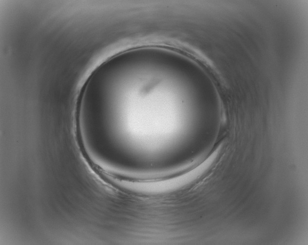 X0000067461512200604071115