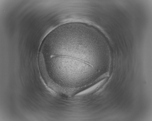 X0000067461513200604071115