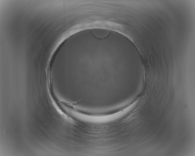 X0000067461515200604071115