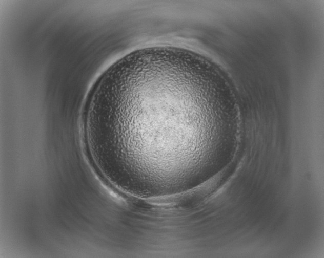 X0000067461517200604071115