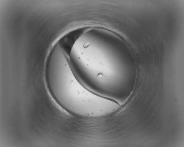 X0000067461518200604071115