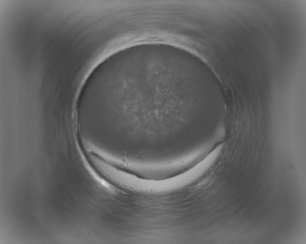 X0000067461519200604071115