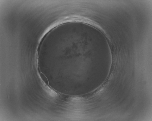 X0000067461522200604071115