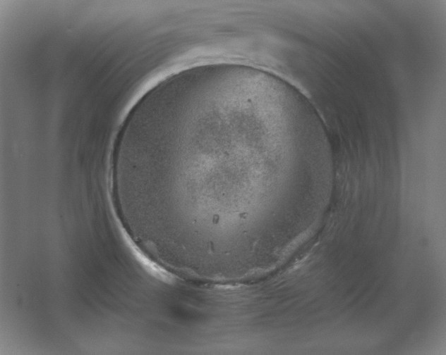 X0000067461523200604071115