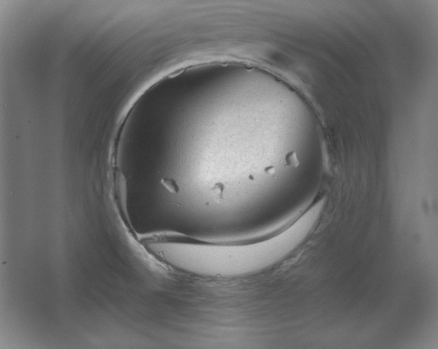 X0000067461524200604071115