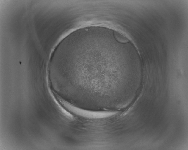 X0000067461525200604071115